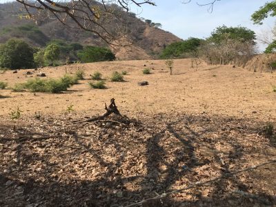 Denuncian que más de 500 jóvenes están recluidos por una organización criminal en Tierra Caliente