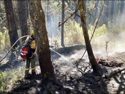 Extinguieron todos los focos de incendio provocados por tormentas en el Parque Nacional Lanín