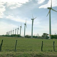 Comunidad pide a Bartlett cancelar contrato con Electricité de France por parque eólico en Oaxaca