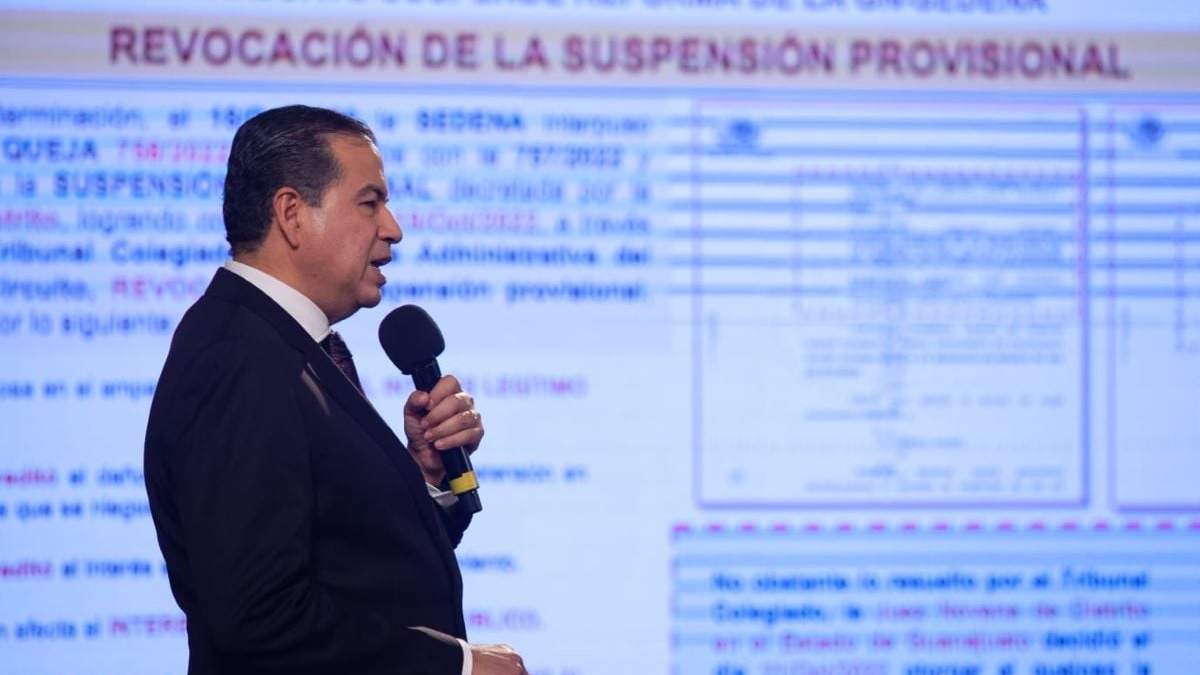 El subsecretario Mejía Berdeja