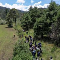 Siguen desapariciones en el Ajusco; la delincuencia opera con impunidad