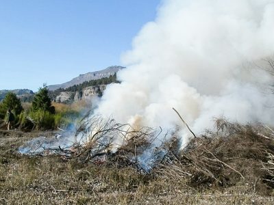 Habilitaron los permisos para quemar los residuos forestales