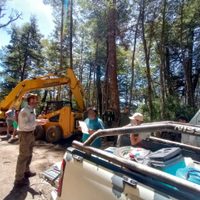 Detienen una operación de desmonte ilegal y secuestran maquinaria en Nahuel Huapi