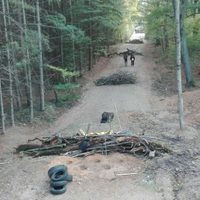 Alemania: la defensa del bosque de Hambach