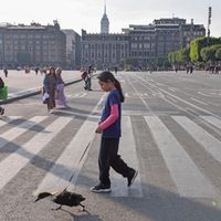Celebrarán la peatonalización del Zócalo con karaoke, lucha libre, homenaje a José Agustín...