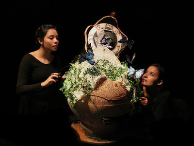 El mundo de Leonora Carrington
