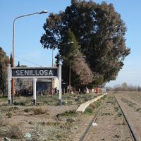 Luego de ser municipio por 30 años, Senillosa tendrá su primera Carta Orgánica
