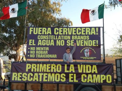 Consulta sobre Constellation Brands genera sorpresa, dudas y esperanza en Mexicali