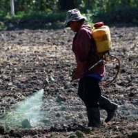 Monsanto presionó a AMLO para revertir su pretensión de prohibir el uso del glifosato: The Guardian