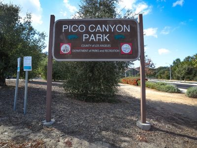 Un puma ataca a un niño de siete años en el parque Pico Canyon de California