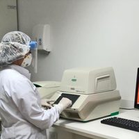 Llegaron los reactivos: ¡ya se realizan los tests de coronavirus en Viedma!