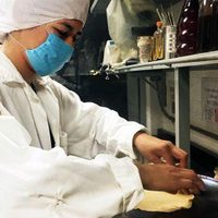Crean en la UNAM tortilla que combate la desnutrición, la diabetes y la obesidad