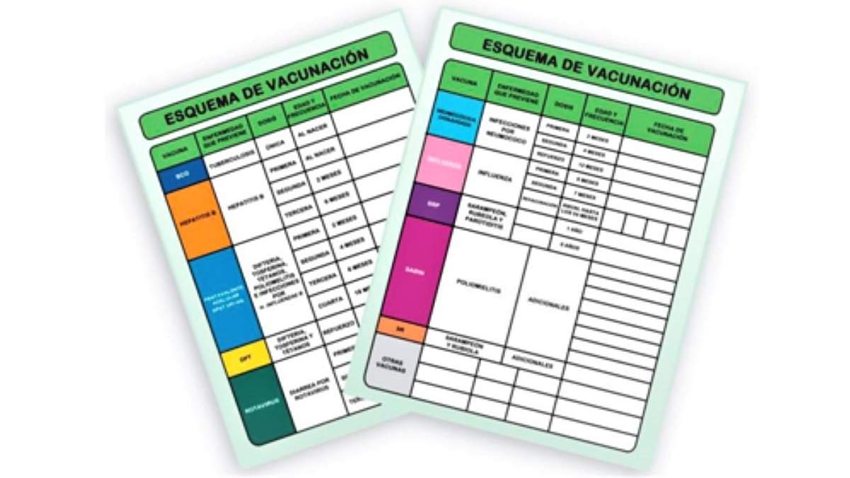 Esquema de vacunación