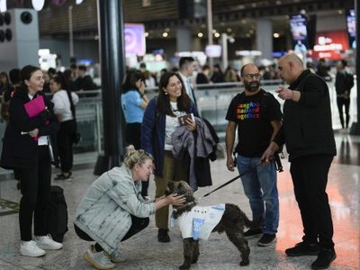 Aeropuerto contrata perros de terapia para mejorar experiencia de viajeros con ansiedad