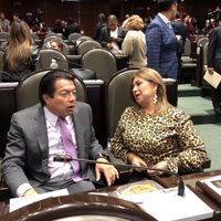 Uso obligatorio de cubrebocas y toque de queda, propone diputada de Morena