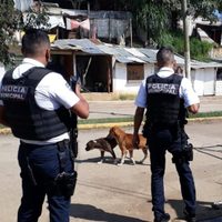 Tres ejecutados en negocio de compra-venta de fierro viejo en Tuxpan