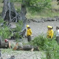 Solicitaron 3 años de prisión para los cuatro guardaparques imputados por el caso Lolen
