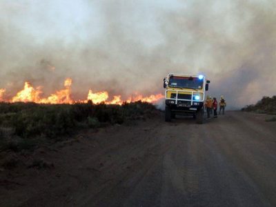 Tres mil hectáreas arrasadas: el incendio no da tregua en Loncopué