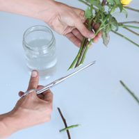 Así de fácil podés resolver un regalo con los tallos de rosas que ibas a tirar sin gastar un peso