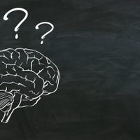 Caos emocional y decisiones difíciles: 5 signos del Zodíaco que la van a tener complicada esta semana