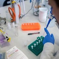 Los casos activos de COVID 19 varían día a día en Zapala, con ocupación completa de terapia