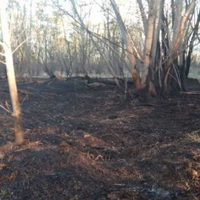 Incendio en el Jardín Botánico de Plottier