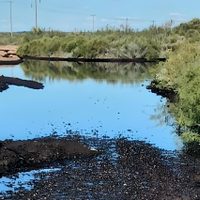 Derrame en Catriel: se reunieron representantes de Oldelval con el secretario de Energía nacional