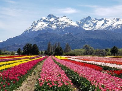 Solo para amantes de la naturaleza: Trevelin, en Chubut, se prepara para el turismo