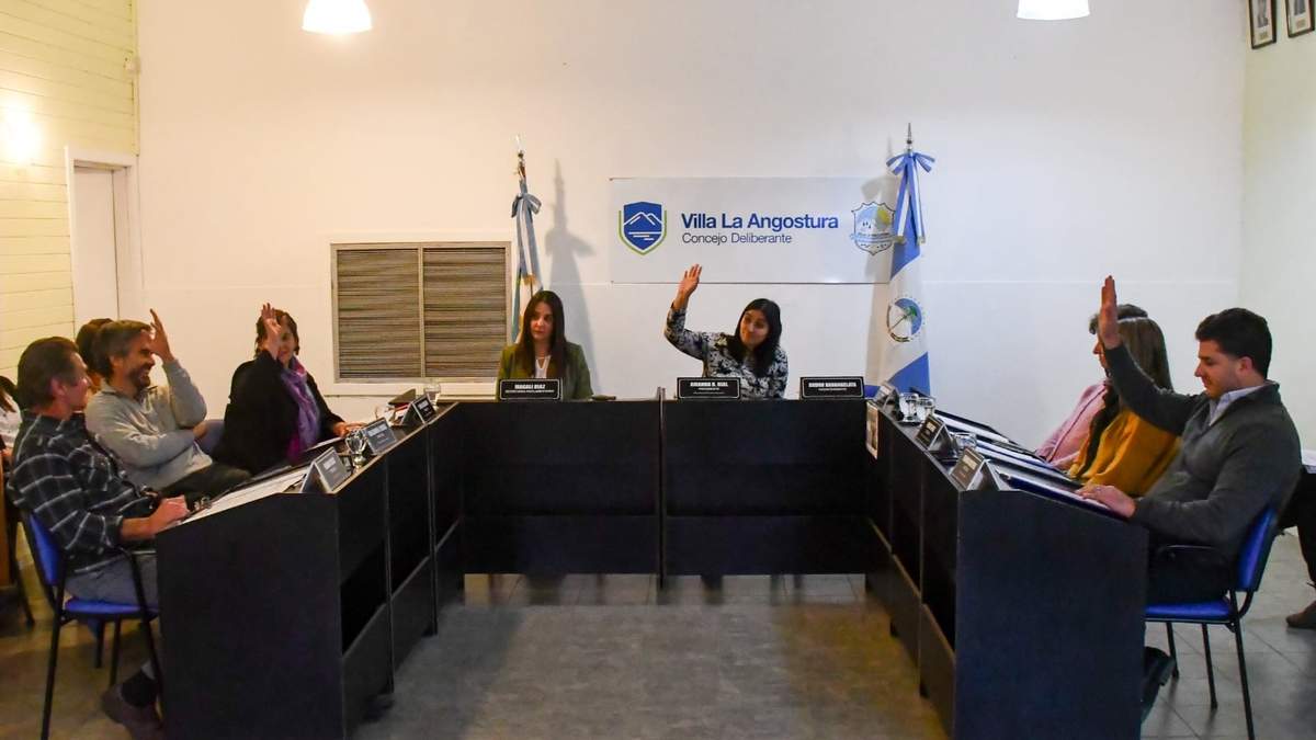 El reporte fue enviado al Concejo Deliberante de Villa La Angostura. Fuente: (Twitter)