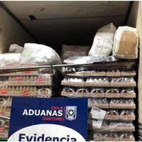 En Paso Samoré secuestraron 2.500 prendas de vestir que iban a ingresar de contrabando