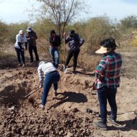 La tragedia de una madre buscadora