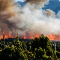 Ignacio Torres confirmó que los incendios en Epuyén fueron intencionales