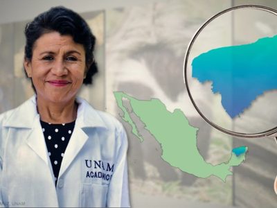Mexicana gana premio por investigación sobre virus en fauna silvestre