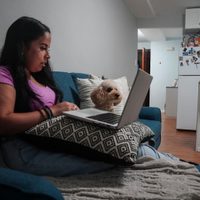 Las mascotas son nuestras compañeras fieles, pero los costos de sus cuidados se pueden acumular