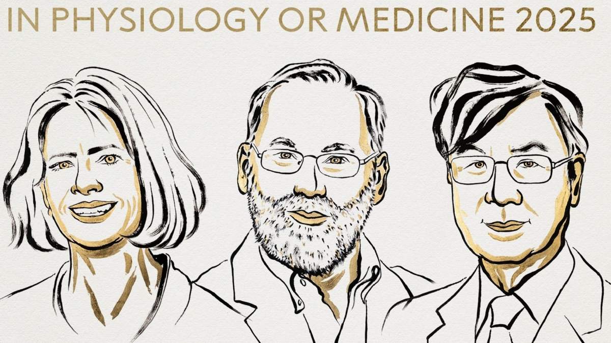 El Nobel de medicina premia Mary Brankov, Fred Ramstell y Shimon Sakaguchi por la tolerancia inmune periférica