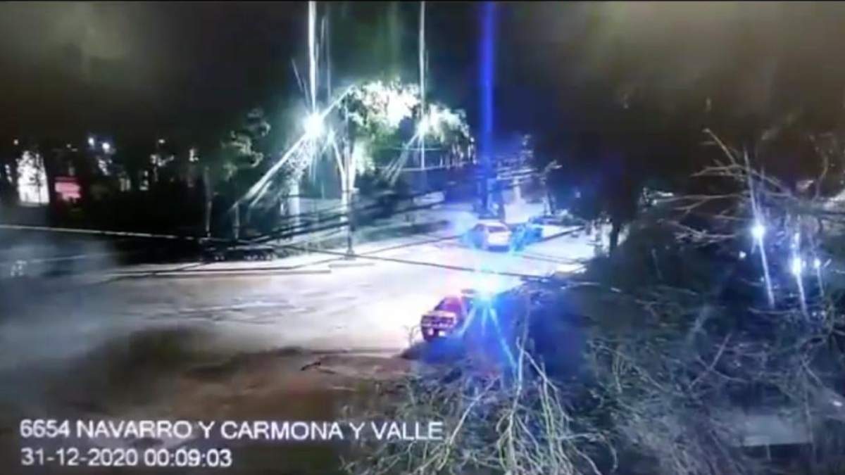 Un árbol caído por fuertes vientos