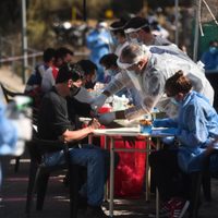 Coronavirus: un estudio sugiere que el riesgo de cada paciente se podría determinar por la sangre