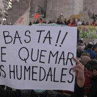 Ley de Humedales: en búsqueda de un tratamiento mayor, se postergó el dictamen