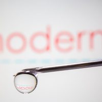 Moderna anunció qué efectividad tiene su vacuna: sería superior a la de Pfizer