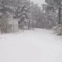 Tormenta invernal en Chihuahua deja daños en servicios básicos (Videos)
