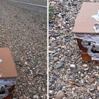Macabro: hallaron una urna funeraria al costado de la Autovía Norte en Neuquén