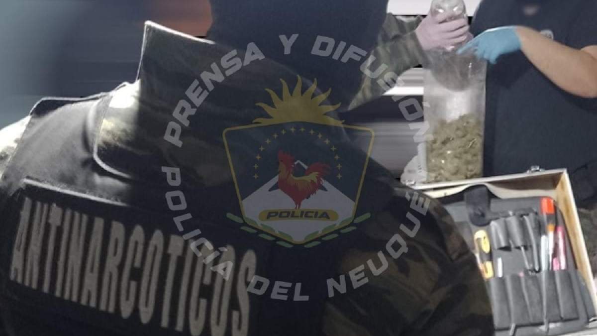 La marihuana secuestrada fue valuada en unos 37 millones de pesos. Fuente (Policía de Neuquén)