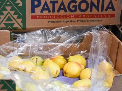 Alumnos de escuelas públicas de Neuquén seguirán recibiendo refrigerios saludables