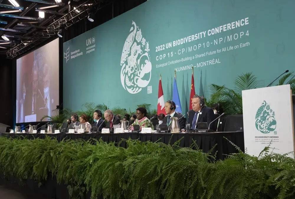La mesa presidencial se prepara para abrir el segmento de alto nivel en la conferencia de biodiversidad COP15 en Montreal, Canadá, el 15 de diciembre de 2022
