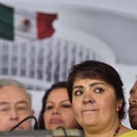 Nestora Salgado pide al gobierno federal atraer el caso del empresario asesinado en Guerrero