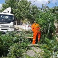 El viento causó trastornos y suspensión de actividades en Neuquén, pero no hubo víctimas