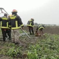 Rescatan a "Spay" y "Spike", los dos perros que cayeron al mega socavón de Puebla