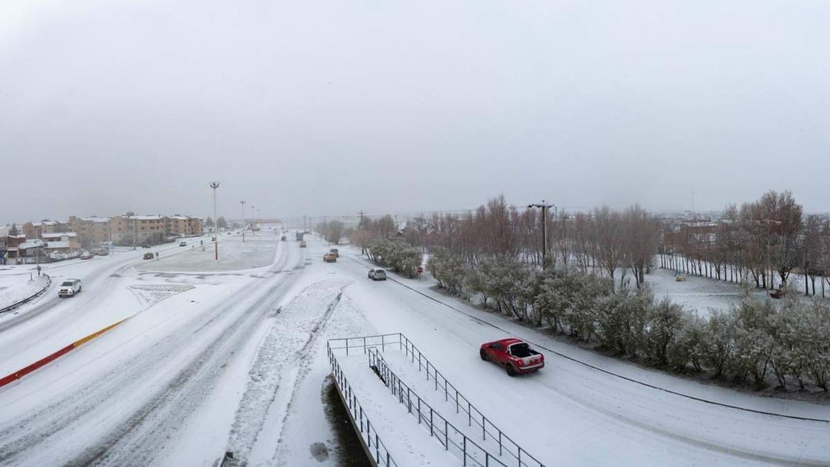 Ola polar. Fuente: (Twitter)