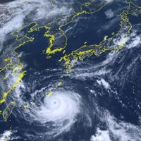 Tifón Khanun azota a Japón: suspenden vuelos y cierran negocios
