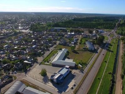 La Policía demoró a dos jóvenes e incautó marihuana y municiones en Centenario